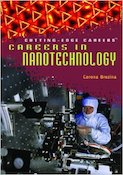 Careers in nanotechnology book cover image