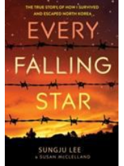 Every falling star book cover